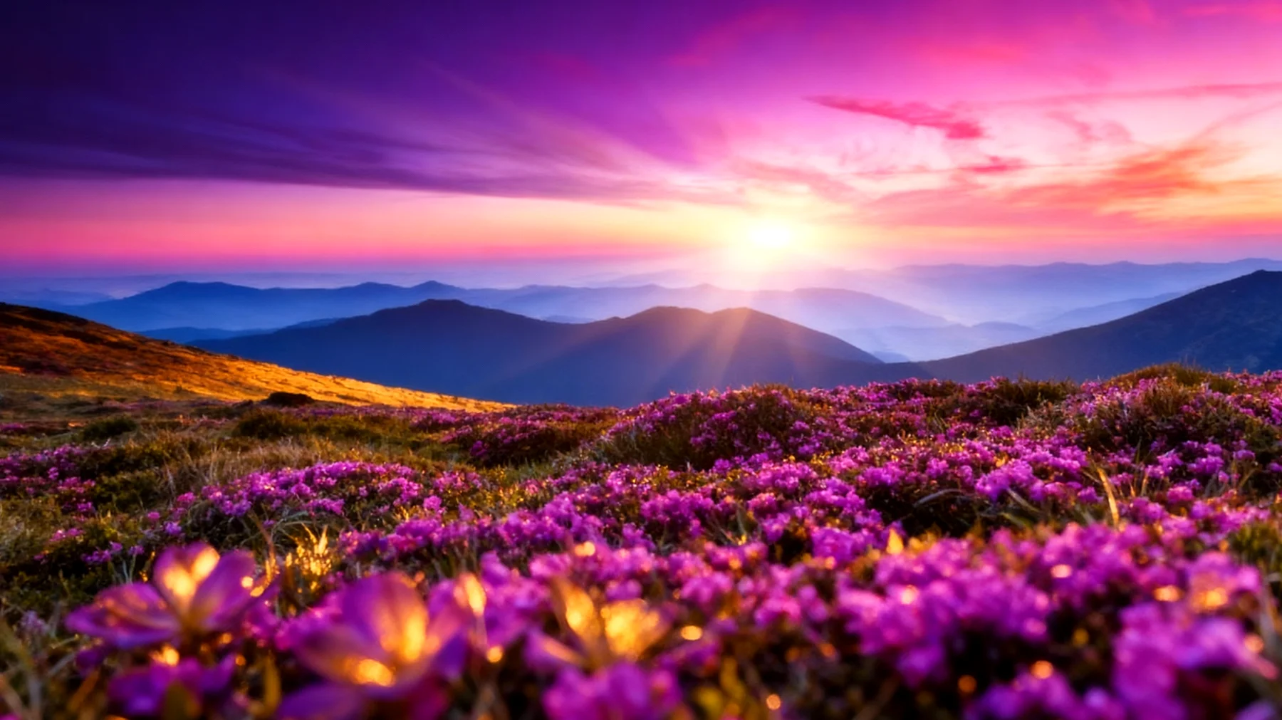 Beautiful 2026-01-11T14:34:36.793Z"