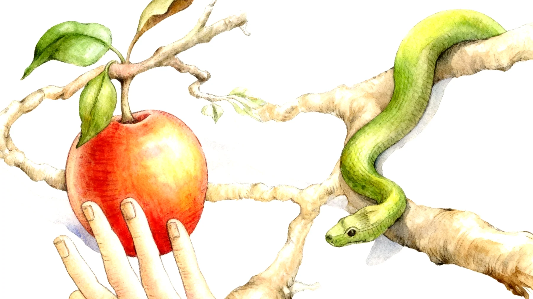 Forbidden Fruit2026-01-09T14:52:09.720Z"